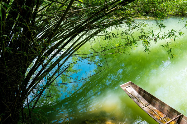 【我在貴州等你】貴州荔波小七孔+西江千戶苗寨+黃果樹大瀑布+青巖古鎮5日游